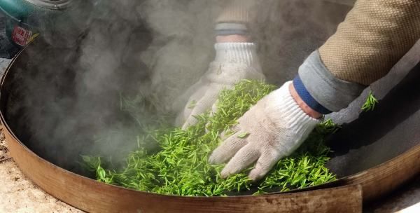 碧螺春产地在哪里,碧螺春茶叶的产地是什么地方图3