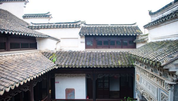 碧螺春产地在哪里,碧螺春茶叶的产地是什么地方图8