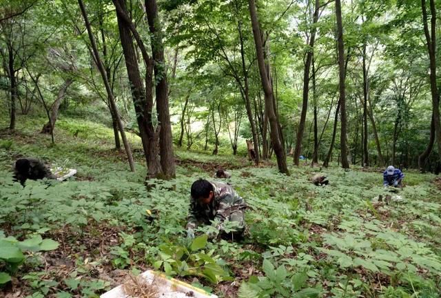 阳关在哪里，都是正午的古装剧，《琅琊榜》和《清平乐》的区别在哪里？图12