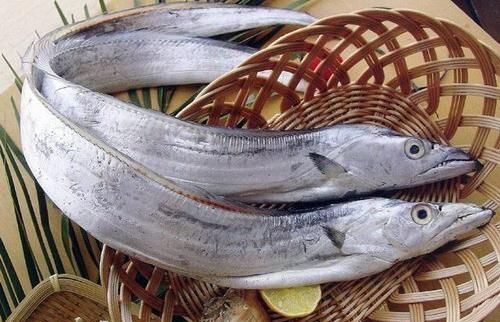 海鱼大全，大片海鱼的做法大全？图8