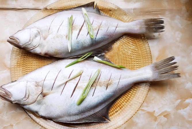 干海鱼有多少种