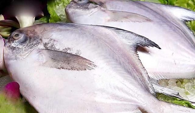 海鱼大全，大片海鱼的做法大全？图5