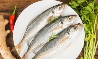 ​海鱼大全，大片海鱼的做法大全？