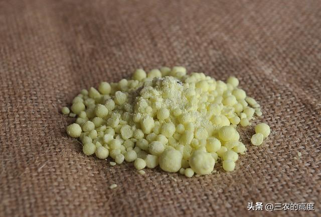 家里放什么东西蛇不敢来(蛇怕什么气味不进屋)