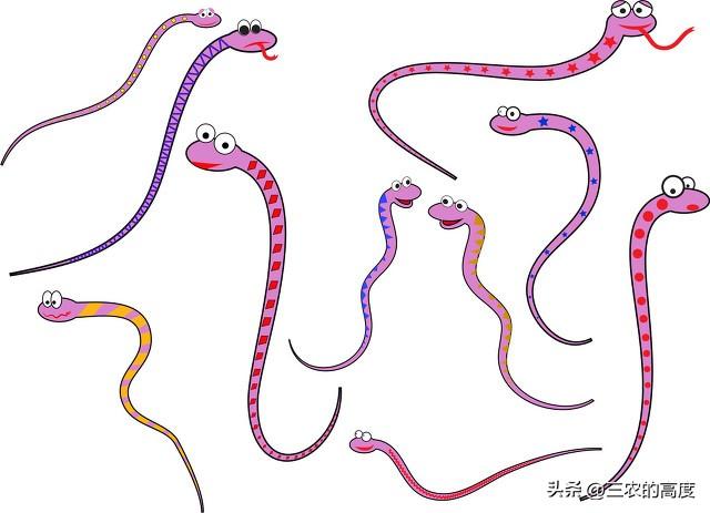 家里放什么东西蛇不敢来(蛇怕什么气味不进屋)