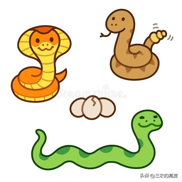 家里放什么东西蛇不敢来(蛇怕什么气味不进屋)