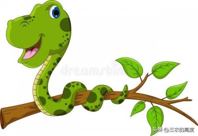 ​家里放什么东西蛇不敢来(蛇怕什么气味不进屋)