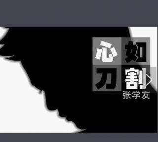 过客歌词表达什么意思