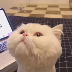 ​宝贝放轻松我会温柔一点的说说(25条温柔可爱的小短句：放轻松，就当漫游地球)