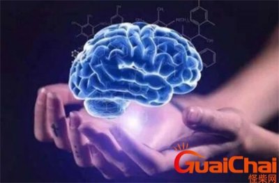 ​目前人类最高智商是多少？人类最高智商是多少