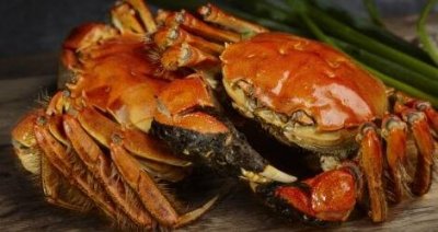 ​大闸蟹如何冷藏保存 大闸蟹保鲜方法技巧