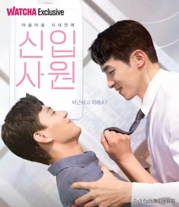 ​新进职员中的插曲叫什么名字_新进职员演职员表