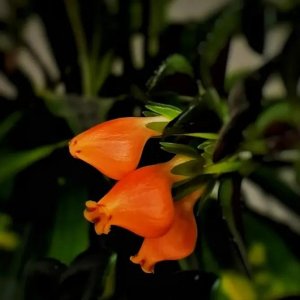 ​描写人多的成语（描写人多的成语和句子和意思）