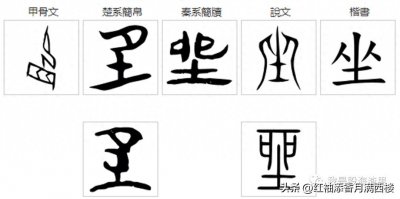 ​停车坐爱枫林晚，坐，应该是徒然的意思