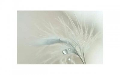 ​和女生约会需要注意的细节有什么