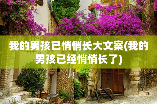 我的男孩已悄悄长大文案(我的男孩已经悄悄长了)