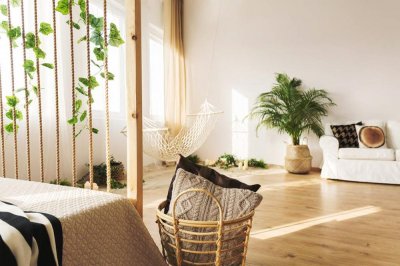 ​延药睡莲的水肥管理