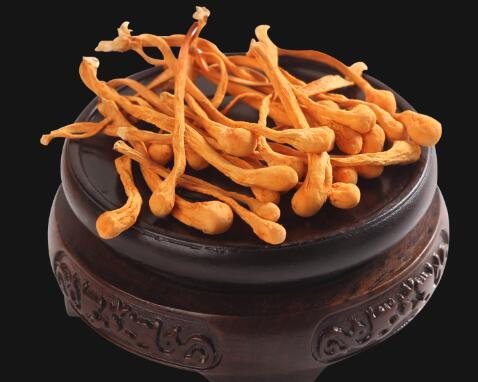 北虫草的功效与作用及食用方法(北虫草的功效与作用及食用方法是什么)