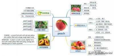 ​索思英语解码单词（第70个）——peach桃子