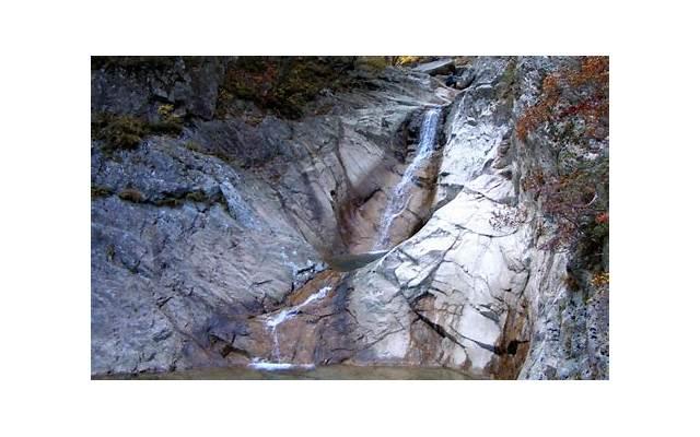 离婚了是不是还可以复婚