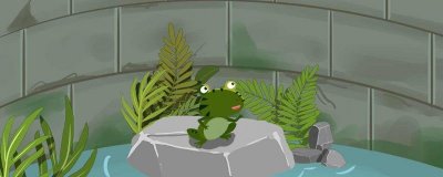 ​下雨天不怕雨的小动物有哪些