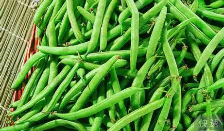 新鲜的四季豆吃不完怎么保存最好