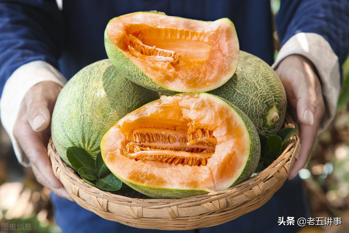 西域是现在的哪些国家（西域现在是中国哪个省）