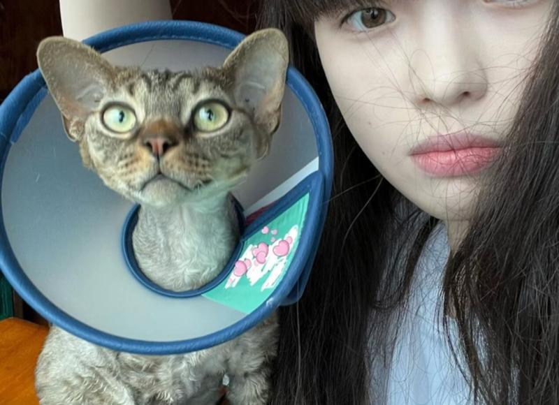 自制美白祛斑面膜大全 自制美白祛斑面膜制作方法大全 自制美白祛斑面膜大全 自制美白祛斑面膜制作方法大全