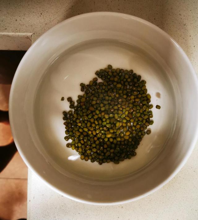 绿豆发芽的过程10天图（绿豆成长记）(1)