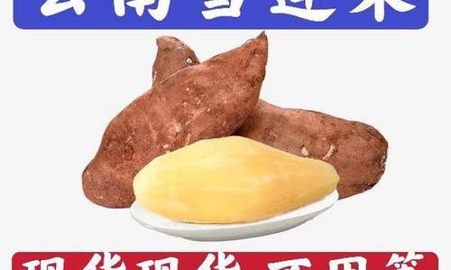 雪莲果能带皮吃吗