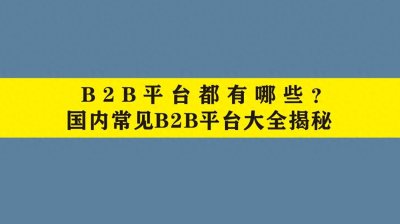 ​B2B平台都有哪些？国内常见B2B平台大全揭秘
