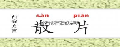 ​散片陕西话啥意思