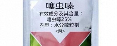 ​啶虫脒、吡虫啉、噻虫嗪，都能治蚜虫，使用时如何选择？