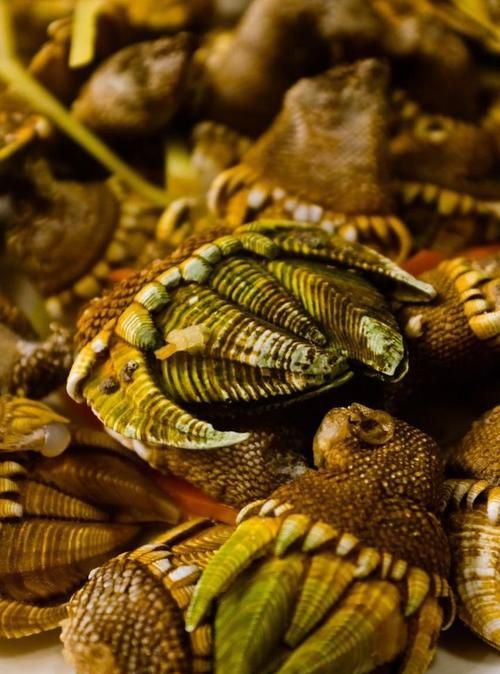 海字组词寓意好的