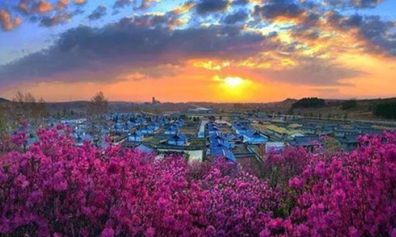 全国十大避暑城市排行榜 国内避暑旅游城市排名