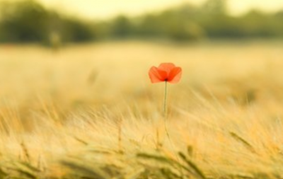 ​老公变心的原因，如何挽回老公的心