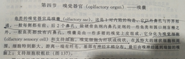 鱼辨别味道的方法,动物都有哪些辨味方法呢图5