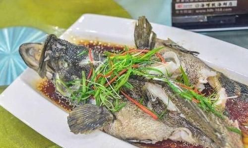 小动物是用什么来辨别气味的