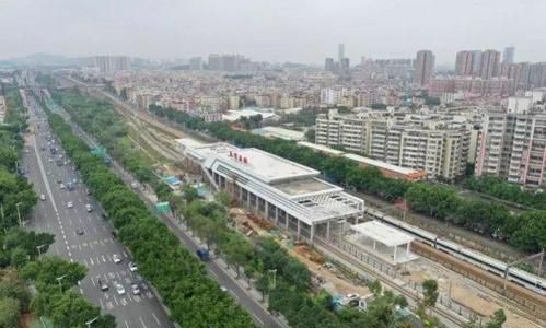 离穗是广东还是广州：广州离穗是什么意思