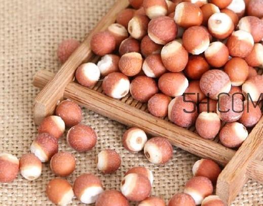 芡实营养价值有哪些?芡实哪里的最好 芡实营养价值有哪些?芡实哪里的最好