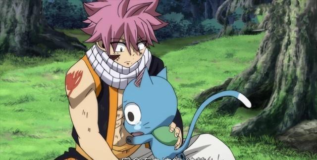 妖精的尾巴295集:杰尔夫真情流露,揭秘纳兹身世,哈比让人感动