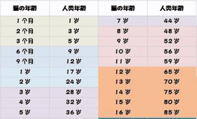 ​猫三岁等于人年龄多少岁（猫三岁相当于人多少岁）