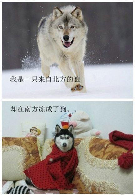 家庭采暖小知识大全（1分钟教你如何选择家庭采暖）(1)