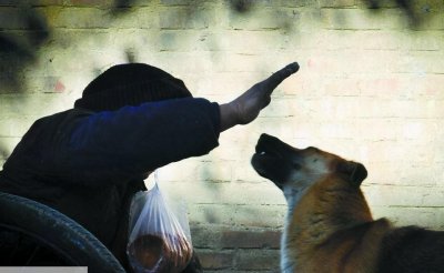 ​狗狗被主人打了会不会记仇-（德牧被主人打会记仇吗）