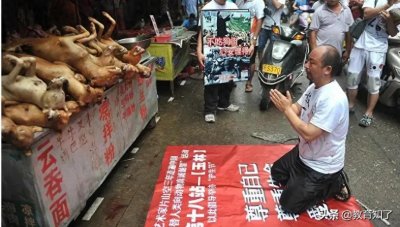 ​夏至到，玉林“荔枝狗肉节”拉开帷幕，爱狗人士呼吁善待动物