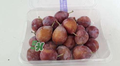 西梅什么时候上市?新疆西梅什么时候上市 西梅什么时候上市?新疆西梅什么时候上市