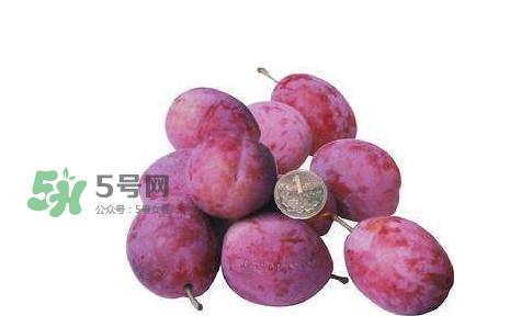 西梅什么时候上市?新疆西梅什么时候上市 西梅什么时候上市?新疆西梅什么时候上市