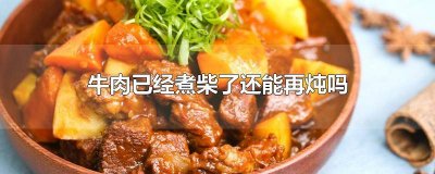 ​牛肉炖了发柴 牛肉炖出来特别柴