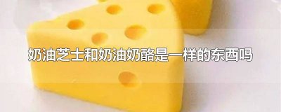 ​奶油奶酪跟芝士奶酪一样吗 奶油奶酪和芝士是一样的吗