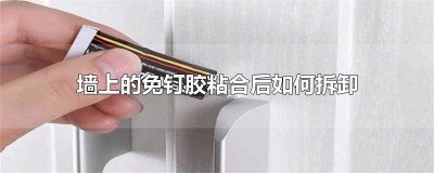 ​墙上的免钉胶粘合后如何拆卸视频教学 免钉胶上墙如何拆除